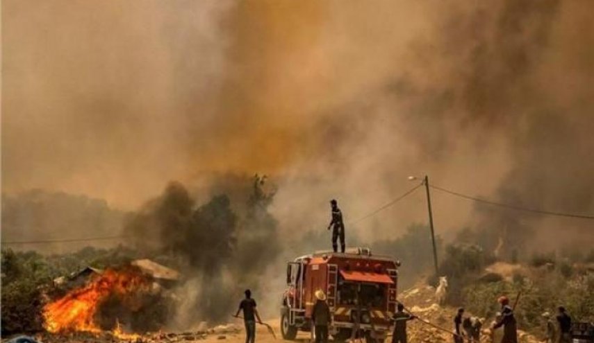 مصرع شخص وإجلاء ألف عائلة بسبب حرائق الغابات في المغرب