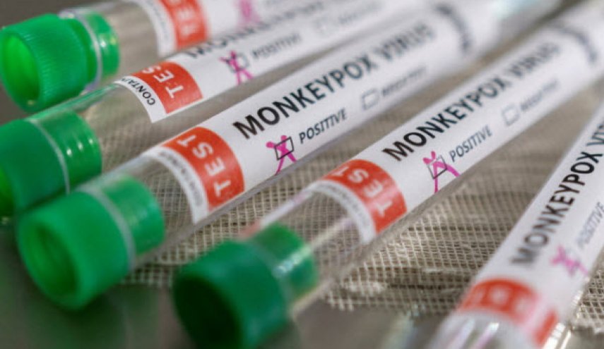 بررسی موارد مشکوک آبله میمونی در ۱۲ قطب دانشگاهی/ درخواست خرید واکسن علیه این بیماری
