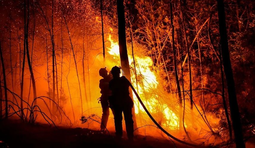 آتش، ۲۵۰ هکتار از درختان جنگل‌های فرانسه را طعمه حریق کرد/ چهار آتش نشان مجروح شدند