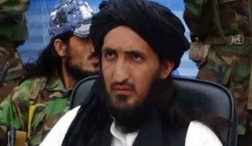 فرمانده ارشد طالبان پاکستان در افغانستان کشته شد