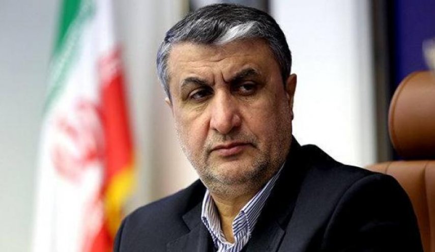 اسلامي : ايران ستصبح قطبا عالميا في مجال تاسيس المحطات النووية