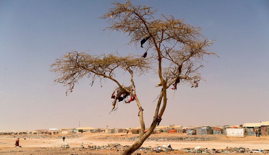 سازمان ملل: برای جلوگیری از قحطی در سومالی دست‌کم یک میلیارد دلار مورد نیاز است
