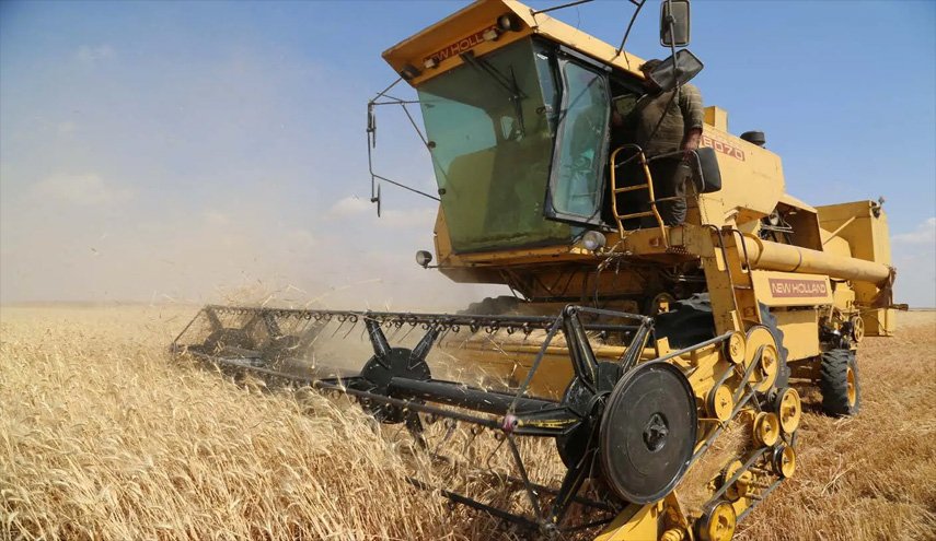 ايران تتوقع الاستغناء عن استيراد القمح في العام القادم