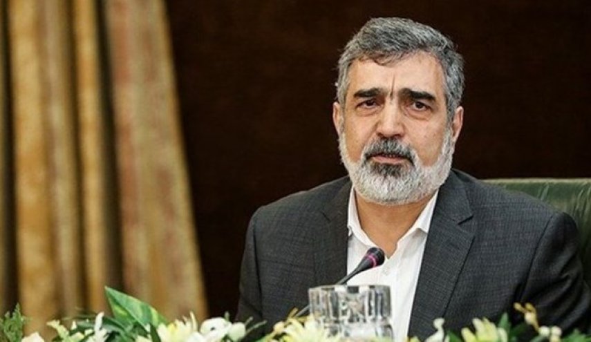 کمالوندی: ایران درباره سه مکان ادعایی کمال همکاری را با آژانس داشته است