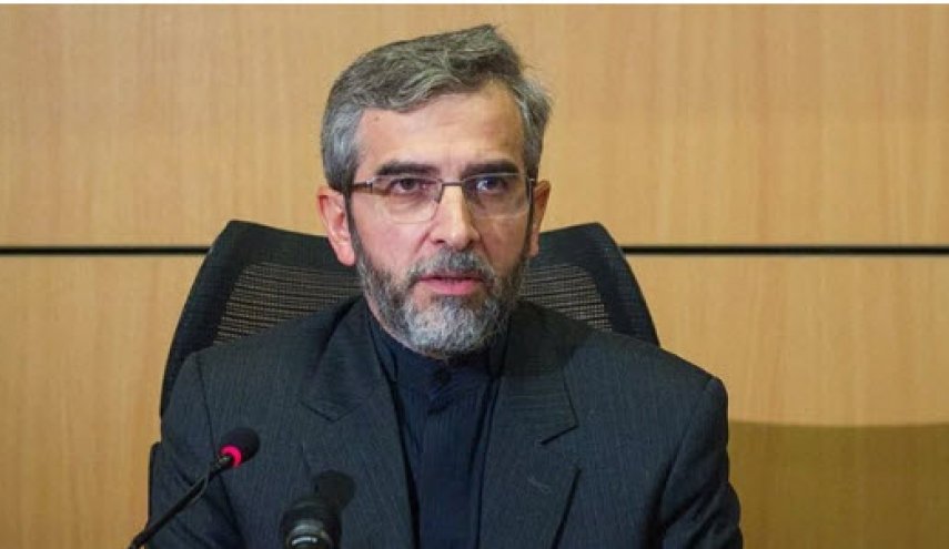 باقری: تضییع حقوق ایرانیان در هیچ نقطه از جهان را برنمی‌تابیم