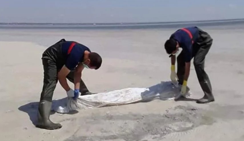 العثور على جثث مهاجرين في سواحل تونس