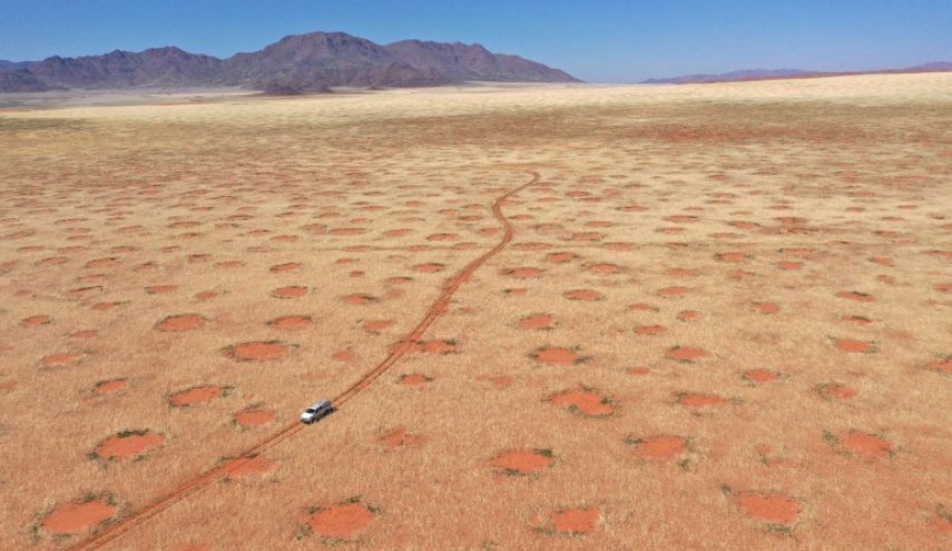 ما سر دوائر الجن الغامضة في صحراء ناميبيا ؟