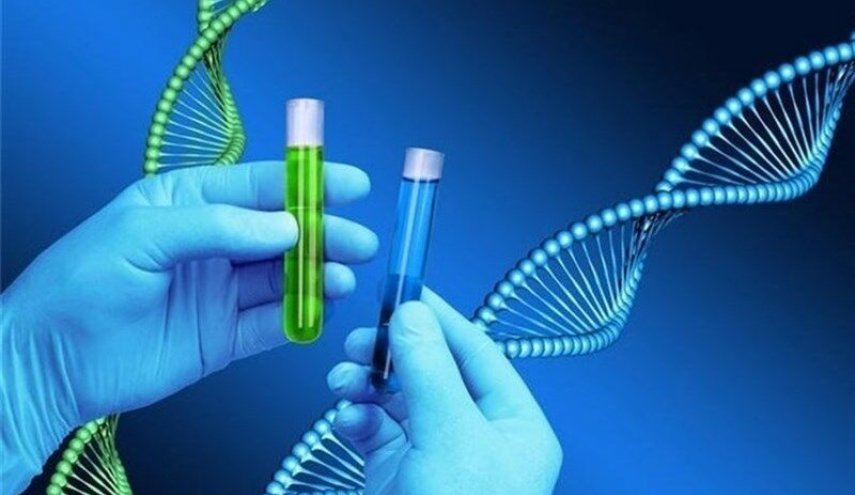 باحثون إيرانيون يتوصلون الى علاج جيني لسرطان الدم