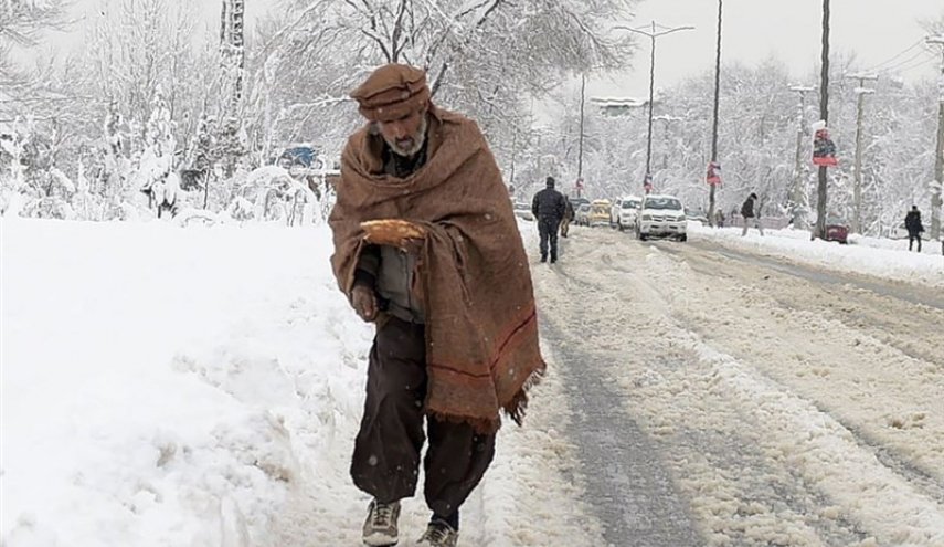 صلیب سرخ: افغان‌ها زمستان امسال برای جان خود مبارزه خواهند کرد