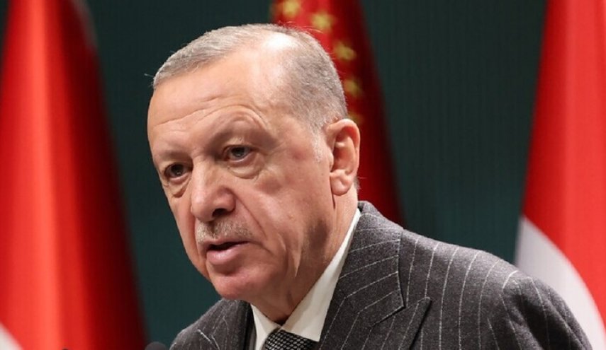 أردوغان وسوناك يبحثان العلاقات الاقتصادية والدفاعية