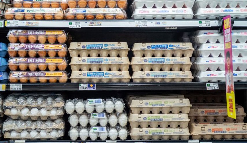 تحلیل سی‌ان‌ان: چرا تخم‌مرغ در آمریکا امسال تا این حد گران شده است؟