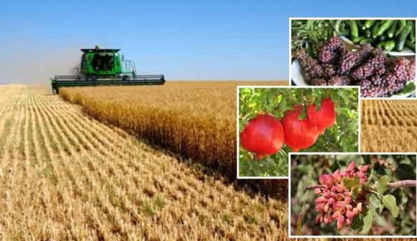 ايران في المرتبة الثامنة عالميا في المحاصيل الزراعية والبستنة 