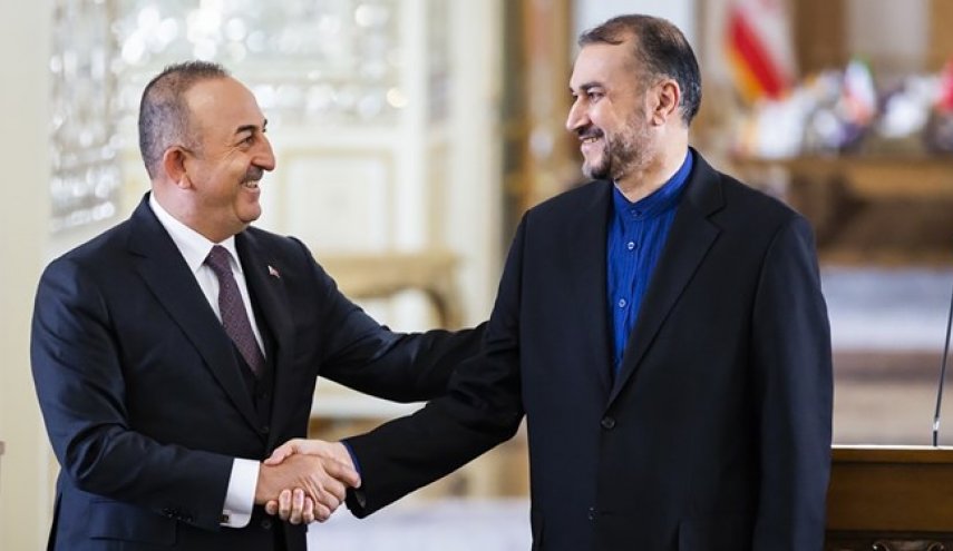 سفر امیرعبداللهیان به ترکیه/ وزیر خارجه سه‌شنبه با چاووش اوغلو دیدار می‌کند