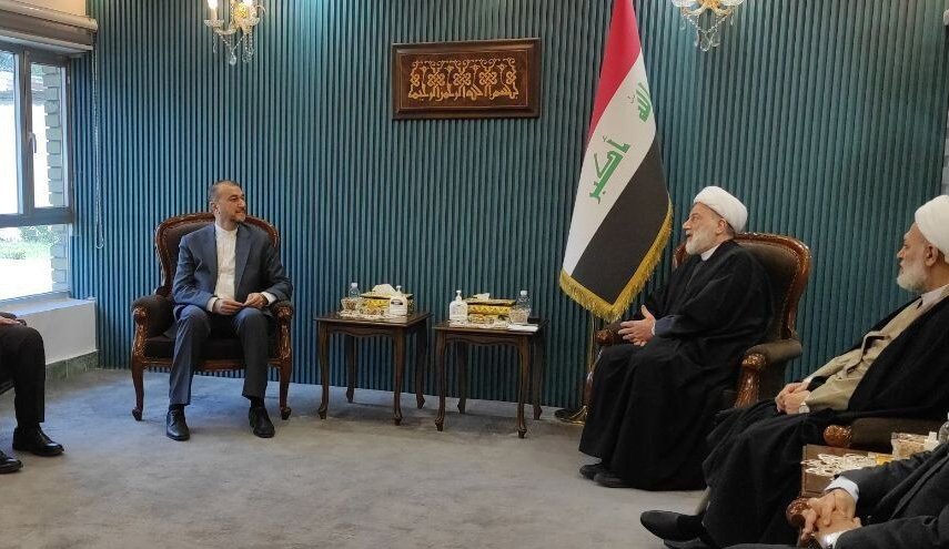 دیدار وزیر امور خارجه با رئیس مجلس اعلای اسلامی عراق