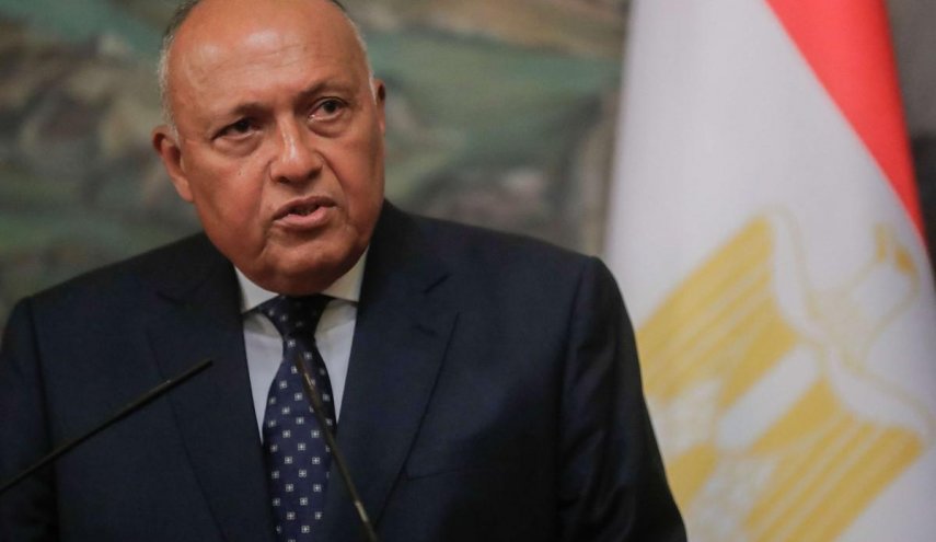 وزير الخارجية المصري يؤكد على التضامن مع سورية والاستعداد لمواصلة دعمها