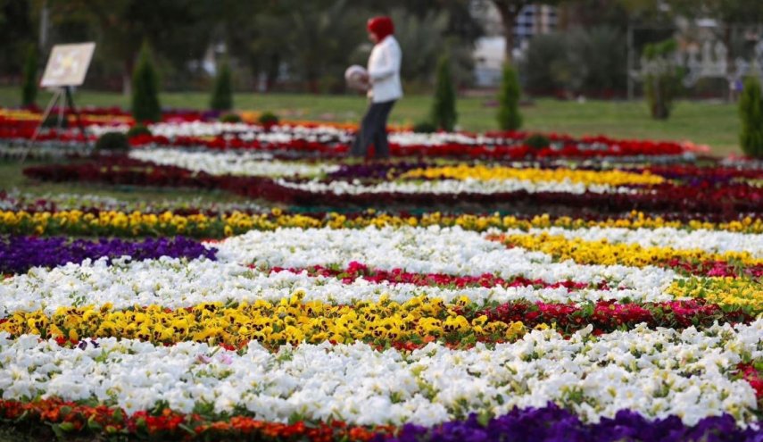 شاهد بالصور.. الورود تزين قلب العراق النابض