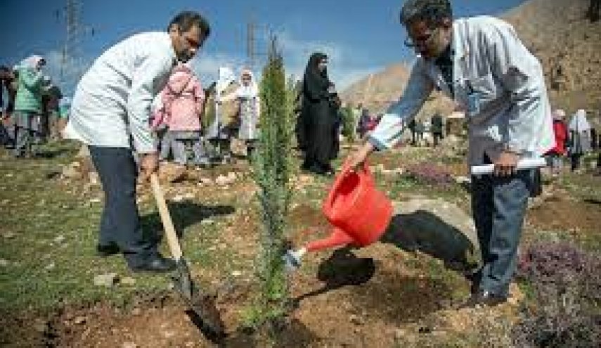 ايران تحطّم الرقم القياسي العالمي في زرع الأشجار