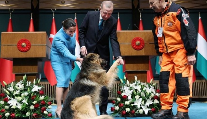 بالصور.. ما قصة الكلب الذي داعبه أردوغان؟!