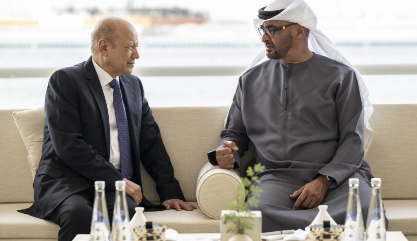 رئیس شورای ریاستی یمن با رئیس امارات دیدار کرد
