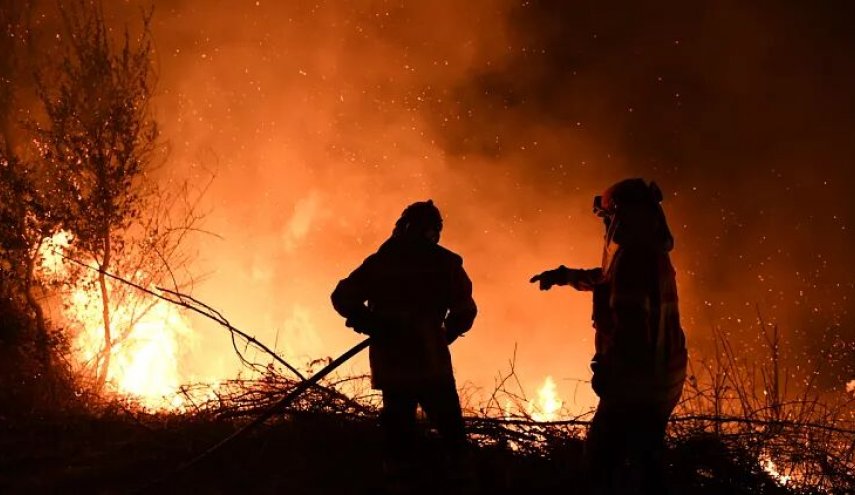 آتش در جنگل های کانادا حدود ۳.۸ میلیون هکتار را نابود کرد