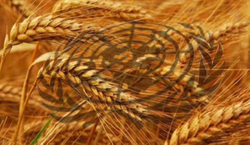 عجز الأمم المتحدة عن تلبية شروط روسيا لتمديد صفقة الحبوب