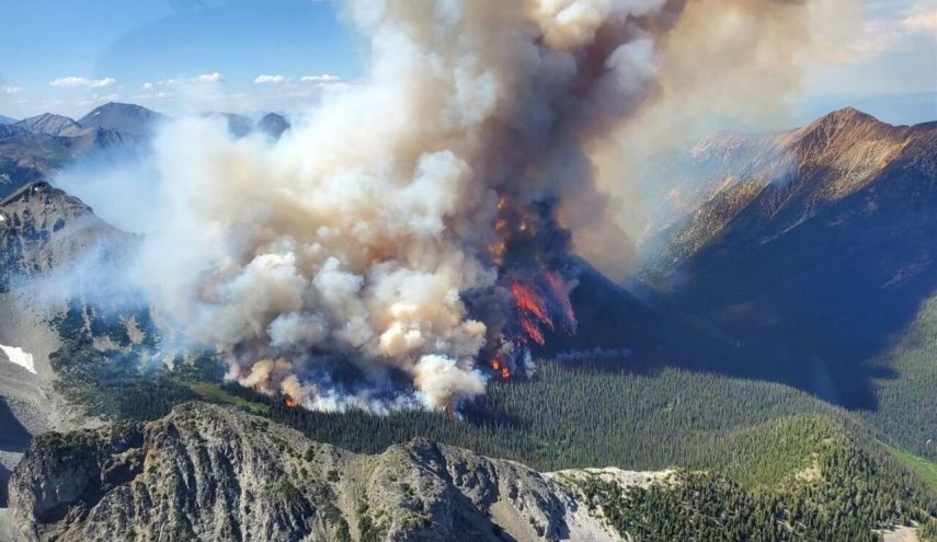 ۱۰ میلیون هکتار از جنگل‌های کانادا در آتش سوخت
