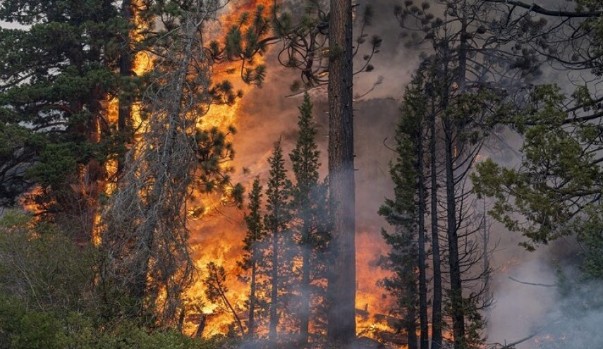 اليونان:حريق كبير يلتهم غابات كوفاراس بالقرب من أثينا
