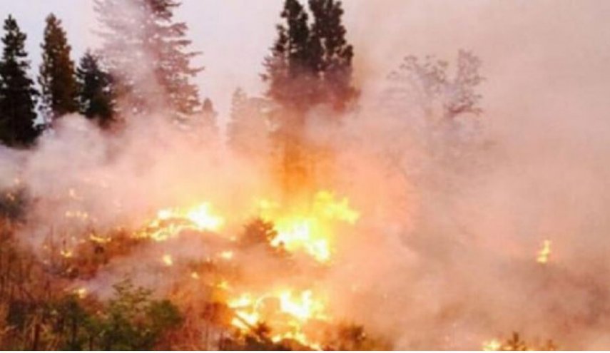 مراسلنا: اندلاع حريق في صافيتا بريف طرطوس السورية
