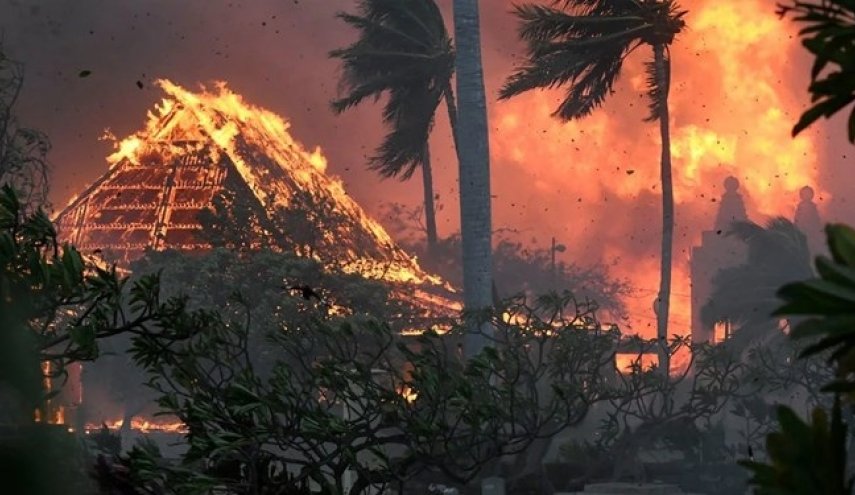 مرگ دست‌کم ۵۳ نفر در پی آتش‌سوزی‌های جنگلی در آمریکا
