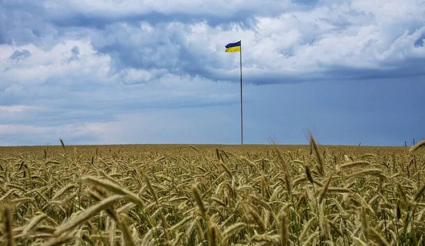 کمیسیون اروپا ممنوعیت ورود غلات اوکراین را تمدید نکرد

