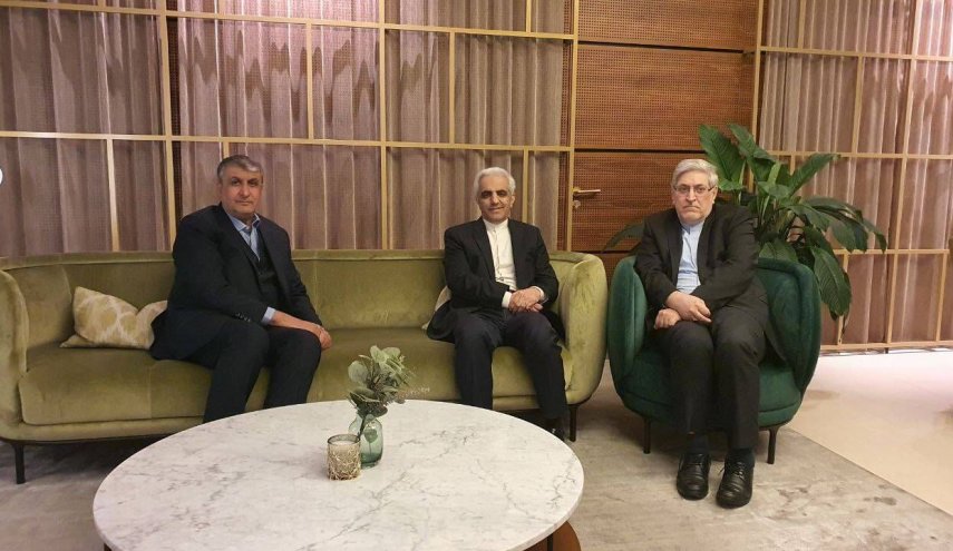 «اسلامی» رئیس سازمان انرژی اتمی ایران وارد وین شد
