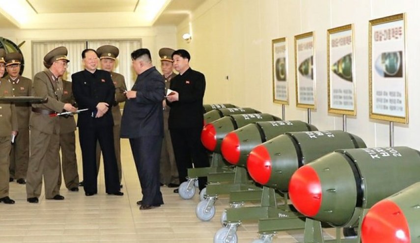 کره شمالی: آژانس اتمی بلندگوی جیره‌خوار آمریکا است
