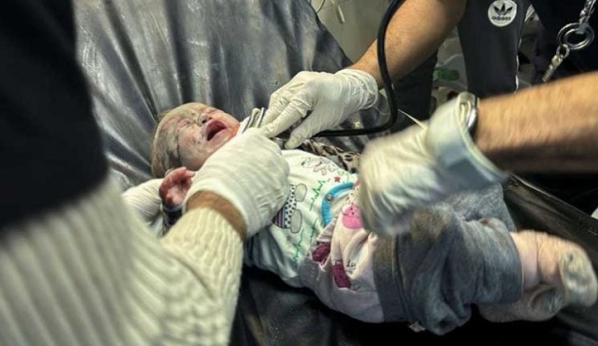 واشنگتن پست: جسد نوزادان در بیمارستان غزه توسط سگ‌ها خورده شده بود