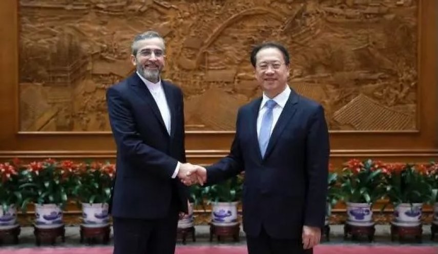 باقری با معاون وزیر خارجه چین دیدار و گفتگو کرد