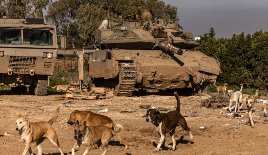 مفتي عُمان يعلق على هجوم الكلاب بغزة على جيش الاحتلال