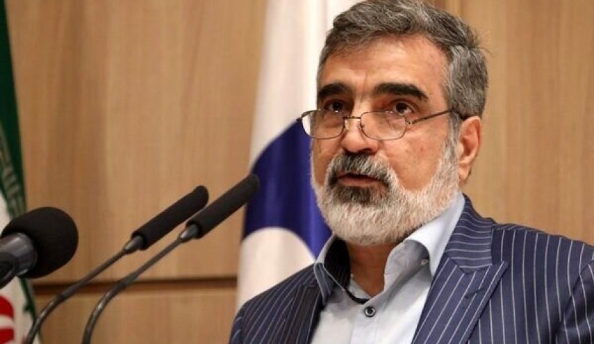 کمالوندی: اسرائيل به دنبال تخریب روابط ایران با دیگر کشورها است