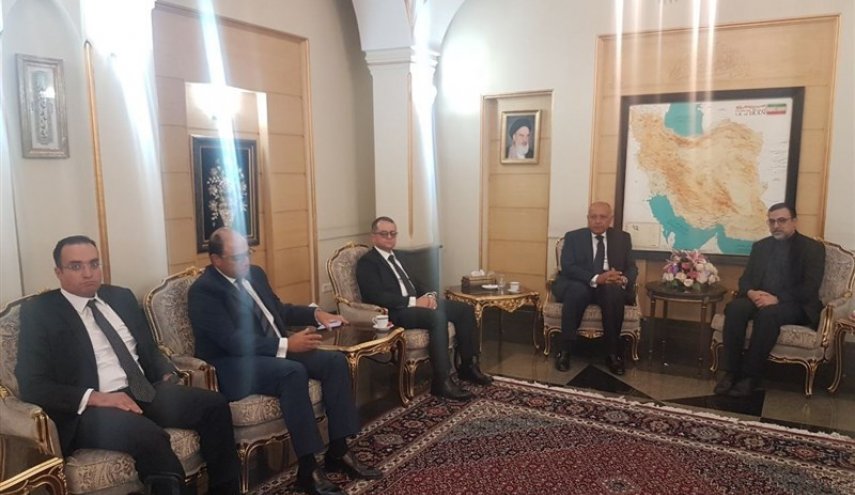 وزير خارجية مصر  يصل طهران
