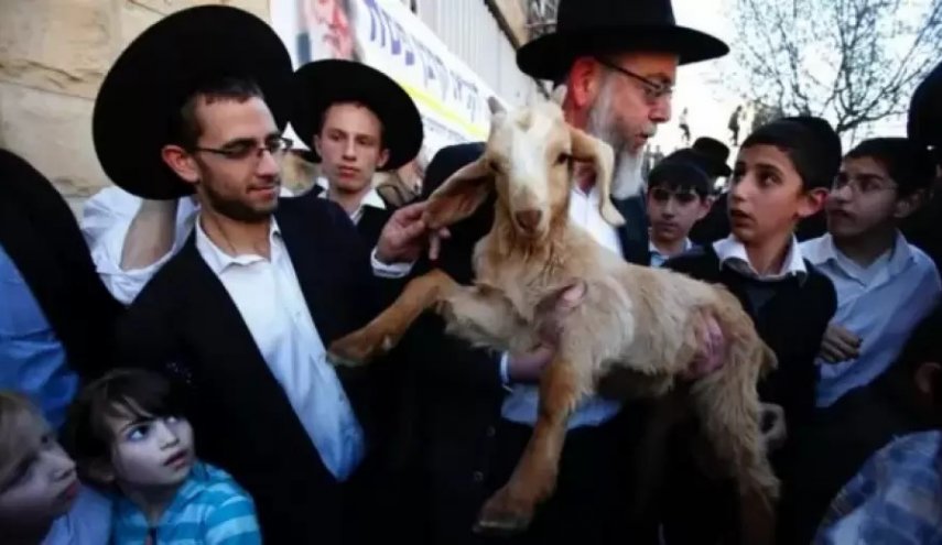 منظمات متطرفة عبرية تدعو لذبح قربان الفصح داخل المسجد الأقصى