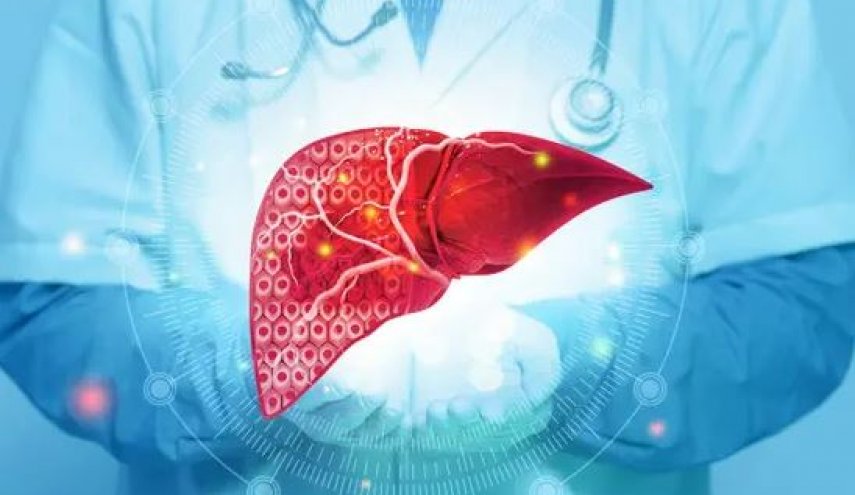 اكتشاف علمي: مركب فعال لعلاج الكبد وتحقيق أهداف فقدان الوزن