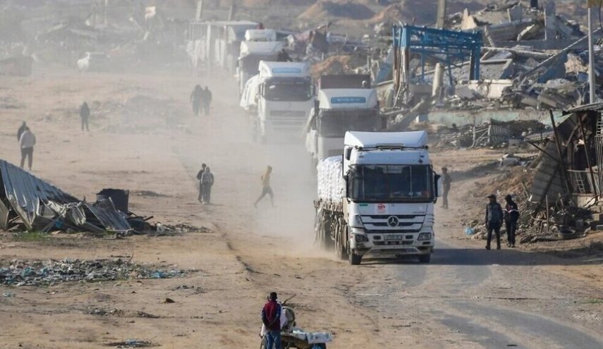 محامون لأجل فلسطين: عناصر 