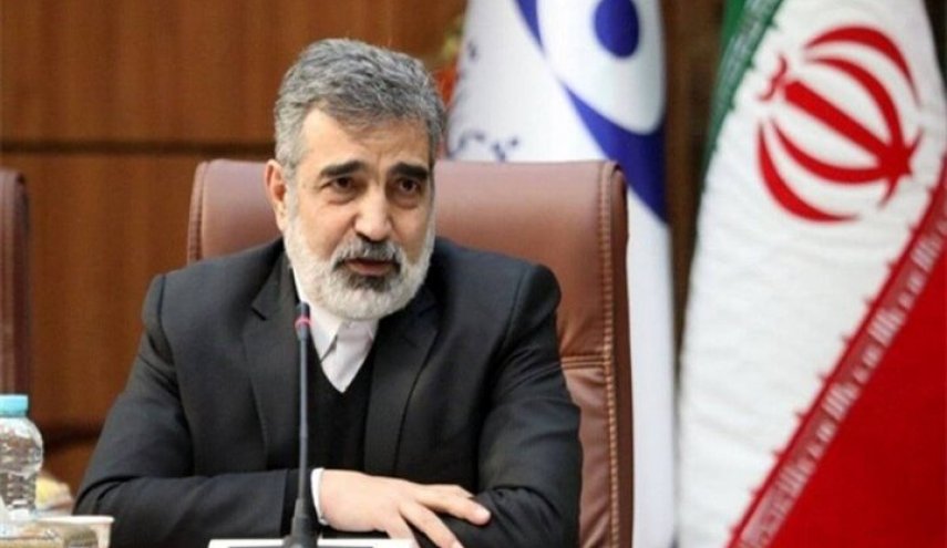 كمالوندي: ايران ستتخذ موقفاً تجاه الوكالة الذرية في حال اصدار قرار ضدها