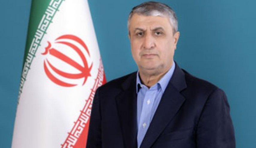 اسلامی: پیشرفت برنامه هسته‌ای ایران ادامه خواهد داشت
