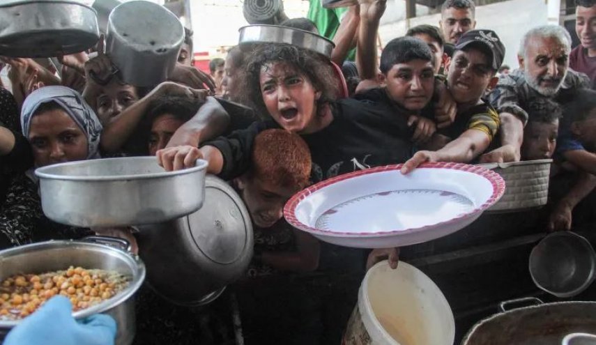 ألبانيزي: كيان الاحتلال يتعمد تجويع الملايين وتطلق النار على الأطفال في غزة