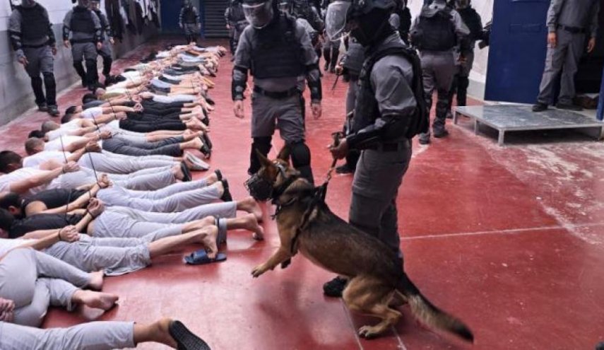 شهادات صادمة عن فظائع تعذيب معتقلي غزَّة في سجون الاحتلال