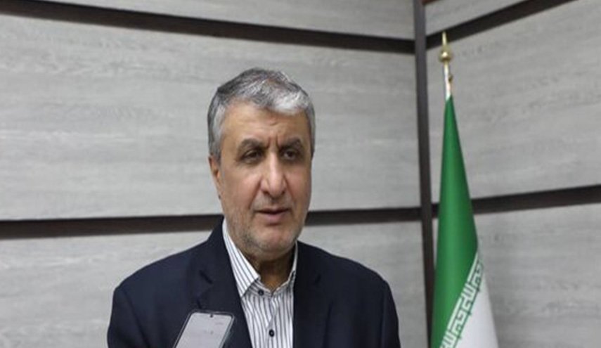 رئيس منظمة الطاقة الذرية الايرانية يوضح الخطط لمواصلة الانشطة النووية