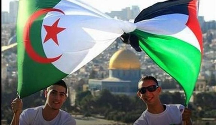 الجزائر تدين بشدة خطة إعادة احتلال غزة وتهجير سكانها
