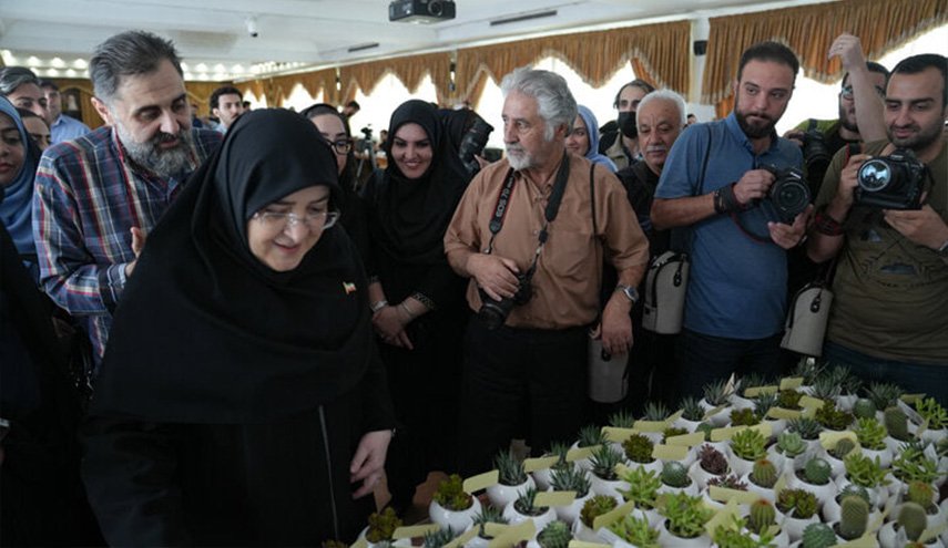 المتحدثة الإيرانية تهدي الصبار للصحفيين.. فما السبب؟!