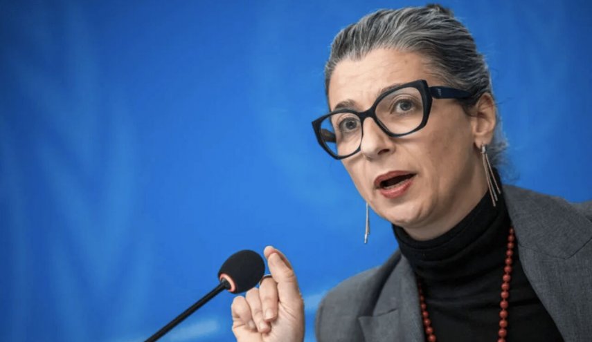 گزارشکر سازمان ملل: حماس در دموکراتیک ترین انتخابات به قدرت رسید