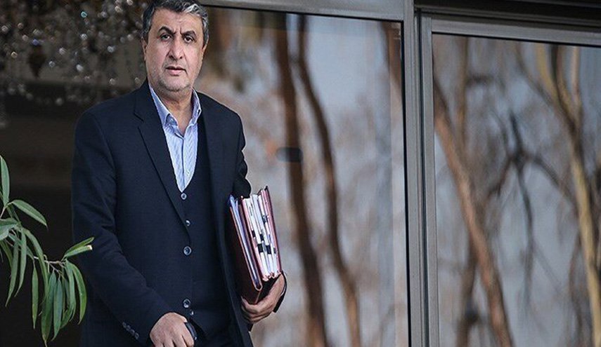 رئيس منظمة الطاقة الذرية الايرانية يصل إلى فيينا