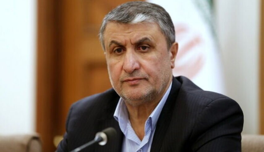 رئيس منظمة الطاقة الذرية الايرانية يتحدث عن مكاسب زيارته الى فيينا